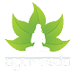 Ayurveda Doctor Logo - SEO - Web Design - Digital Marketing